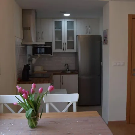 Lovelyloft Auditorio Alicante