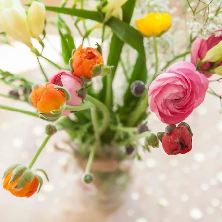 Lovelyloft Auditorio *