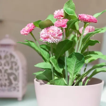 Appartamento Lovelyloft Auditorio Alicante