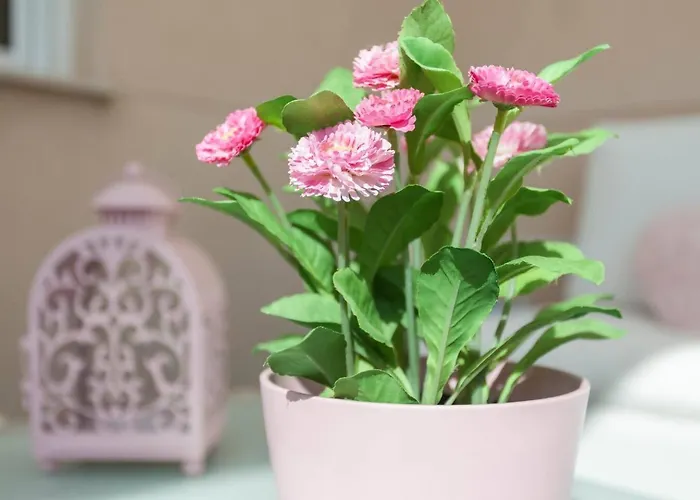 شقة Lovelyloft Auditorio لقنت